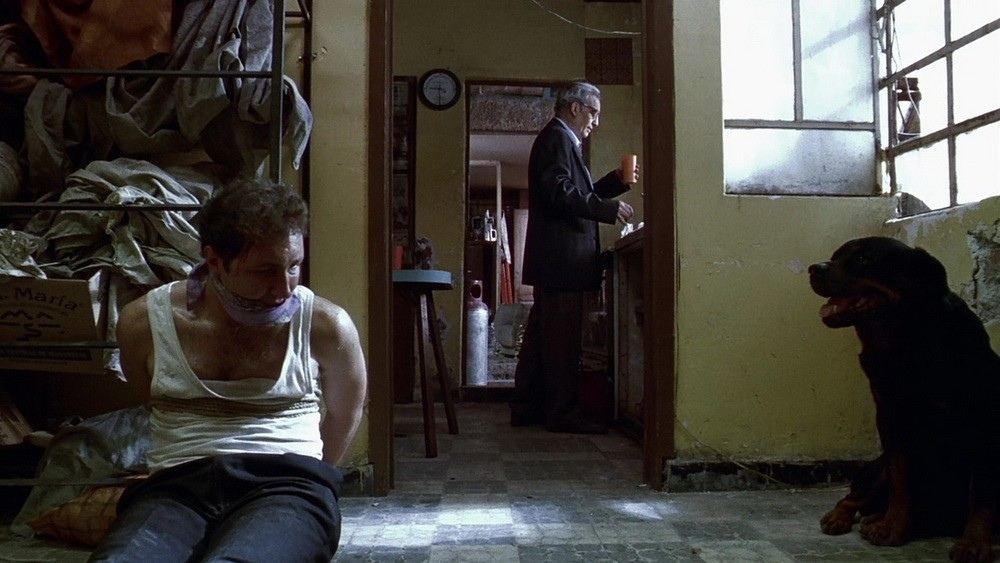 Your Everyday Suggestion - Amores perros (2000)