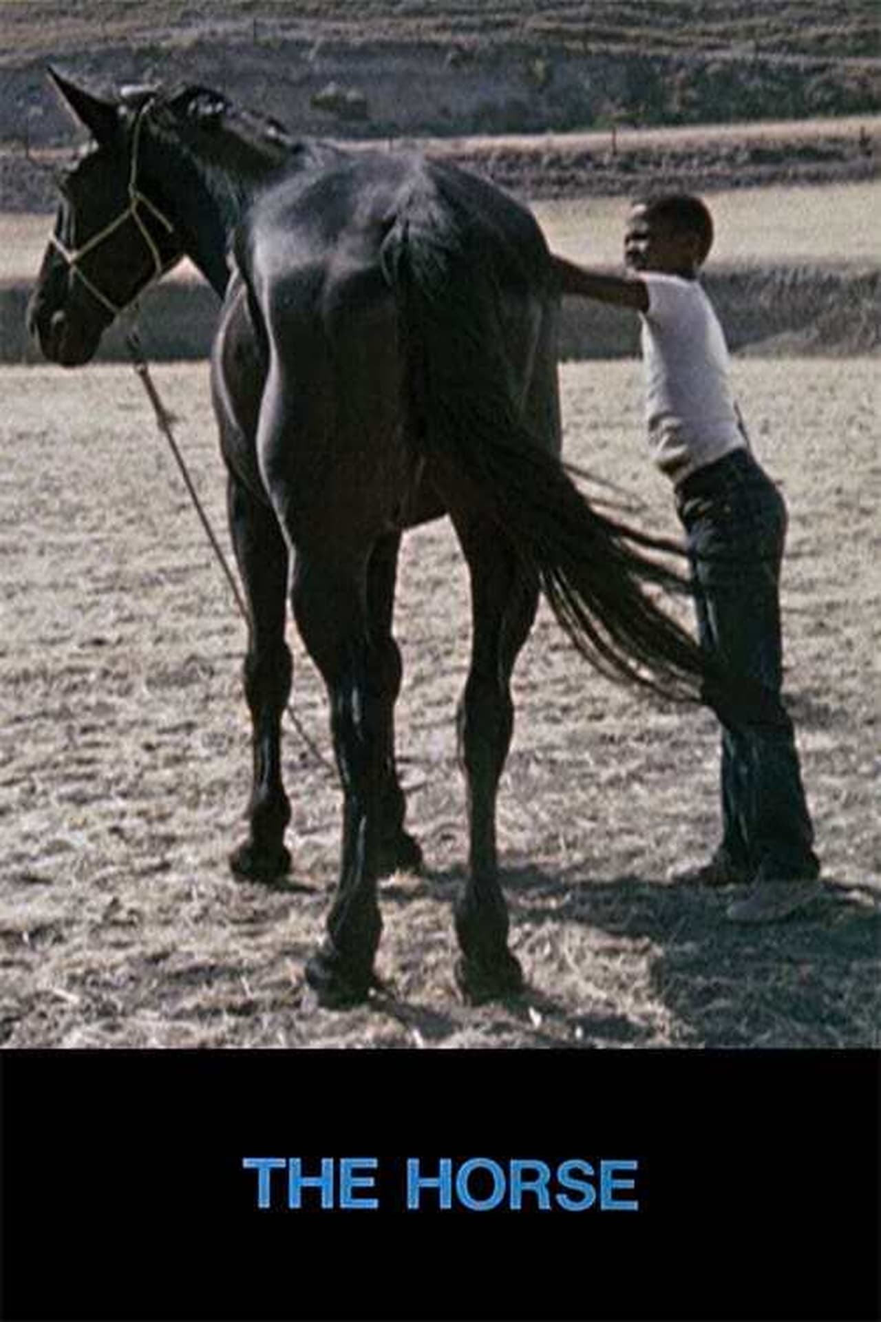 "The Horse" (1973)